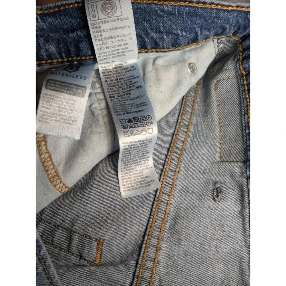 Levis levi strauss